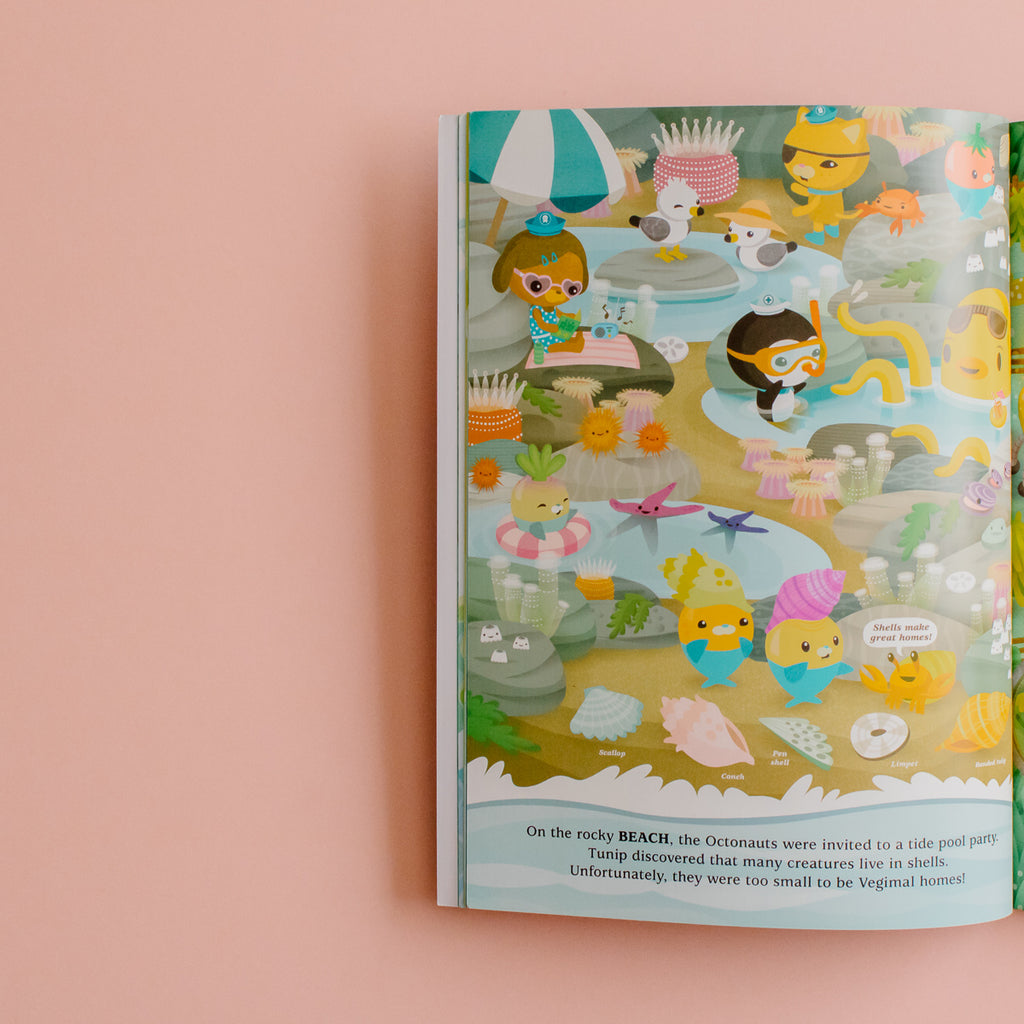 IMG_0798_1024x1024.jpg?v=