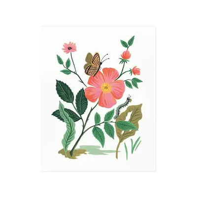 GARDEN ROSE PRINT - 16X20