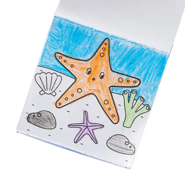CARRY ALONG CRAYON & COLORING BOOK KIT - PET PALS (SET OF 10)