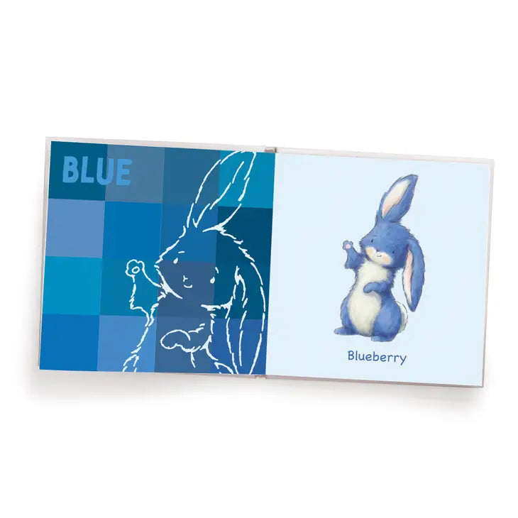 MY BOOK OF COLORS - BOARD BOOK