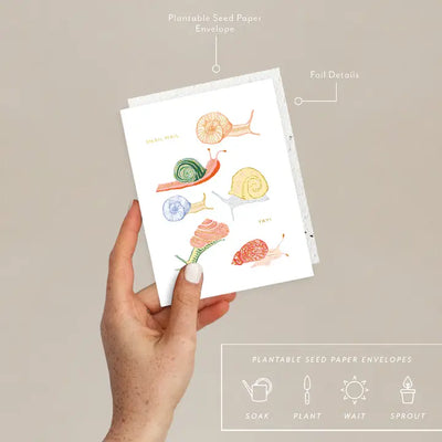 Plantable Card - Snails - Just To Say Hi Card