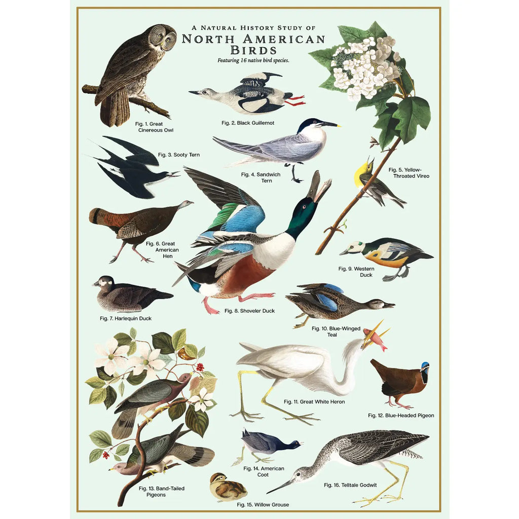 Birds Puzzle – 500 Pc Tube with Vintage Illustrations