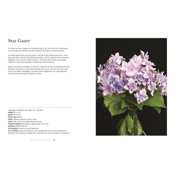 HYDRANGEAS