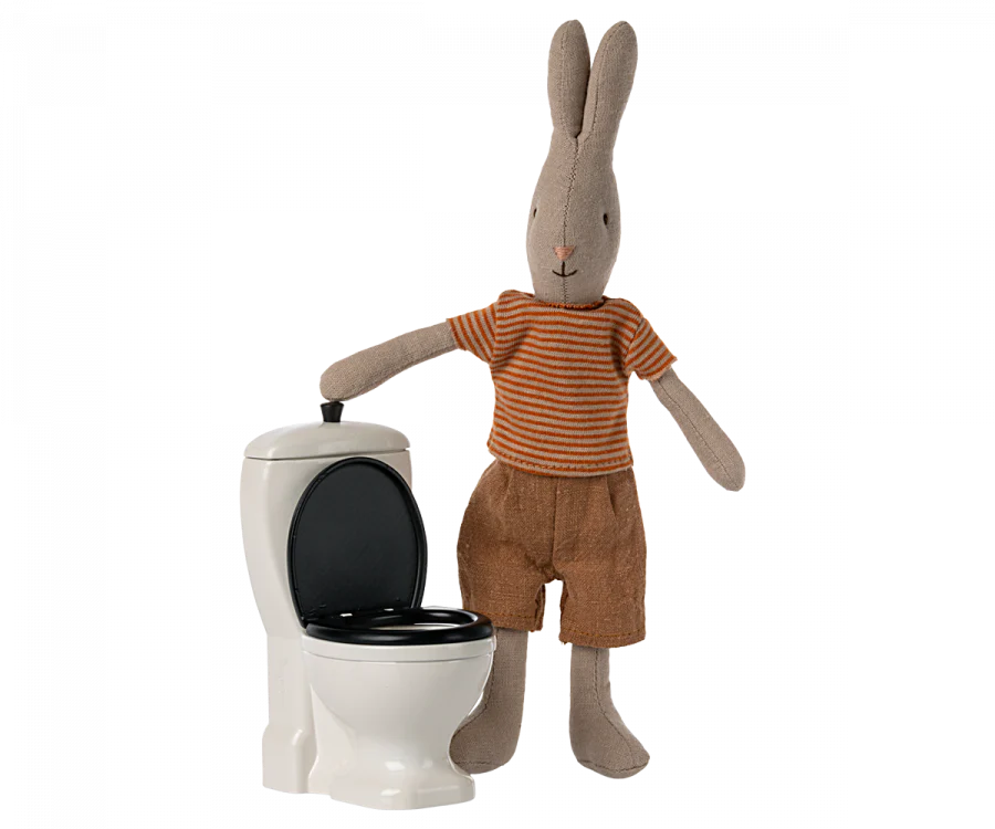 MINIATURE TOILET