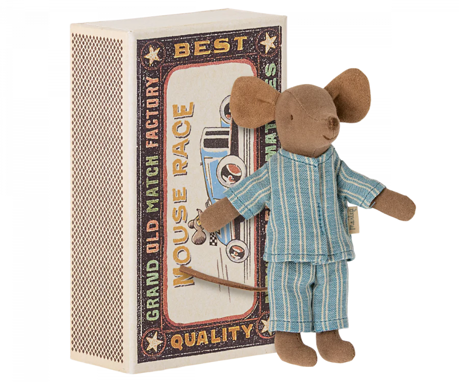 BIG BROTHER MOUSE IN BOX