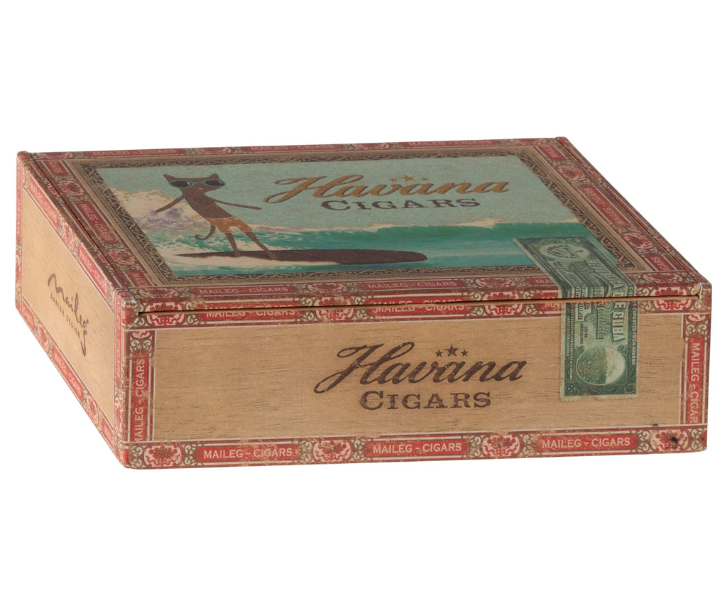 MUM AND DAD MICE IN CIGARBOX