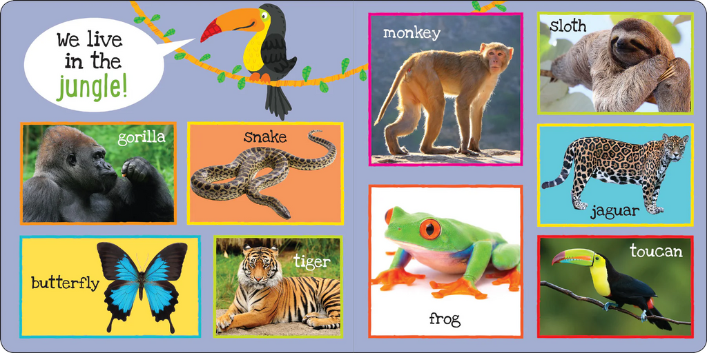 MY FIRST 101 ANIMALS BOARD BOOK