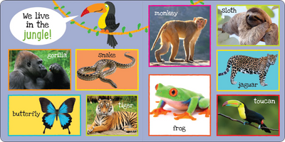 MY FIRST 101 ANIMALS BOARD BOOK