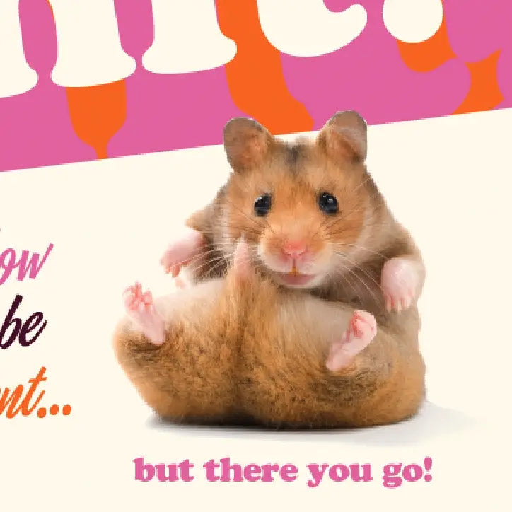 HAMSTER CARD