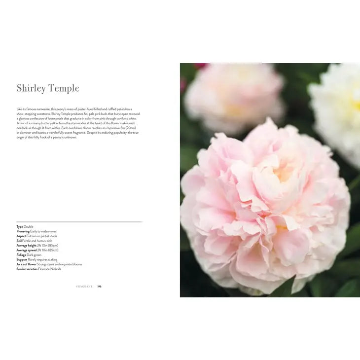 PEONIES