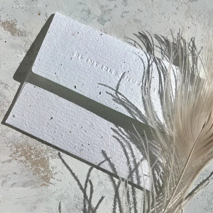 Plantable Card - Adventure Companion - Anniversay Card