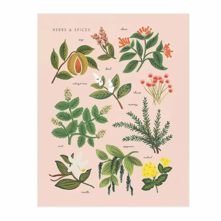HERBS & SPICES PEACH PRINT - 8X10