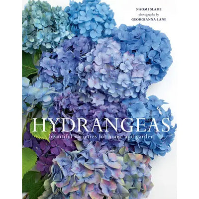 HYDRANGEAS