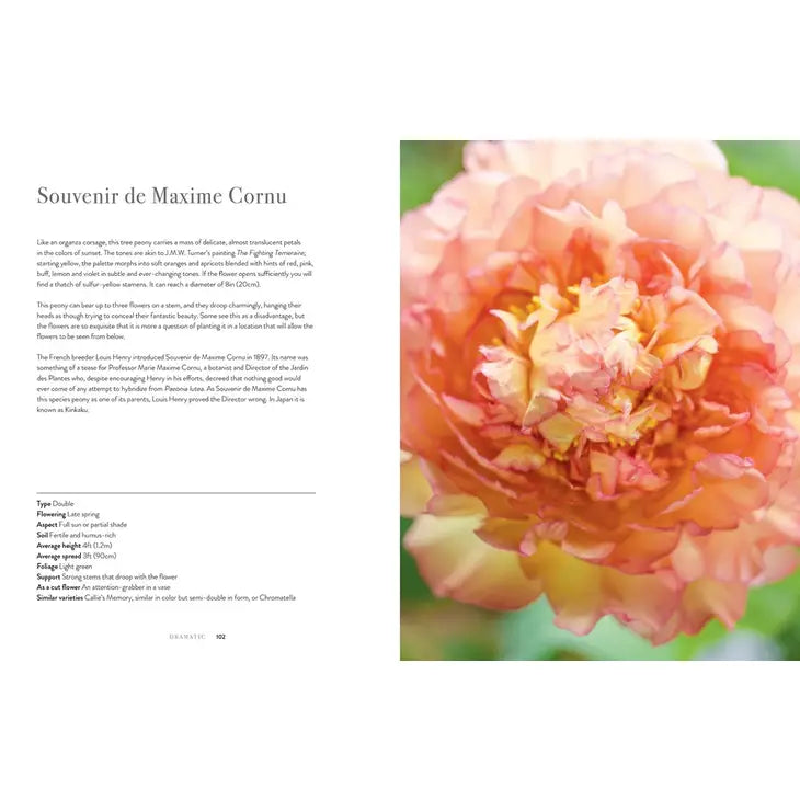 PEONIES