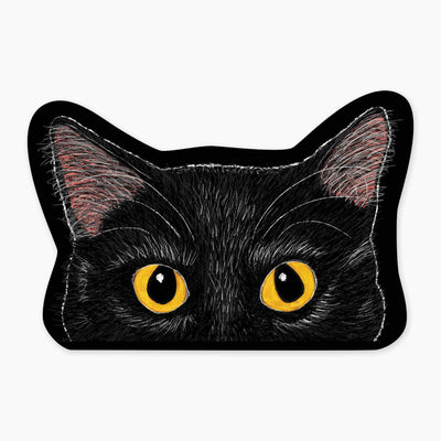 Tinker Black Cat -3