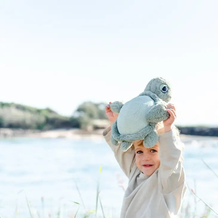 Tyler Turtle 13"/33cm