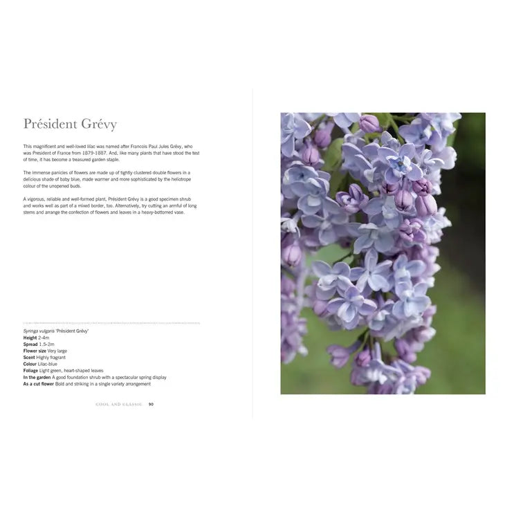 LILACS