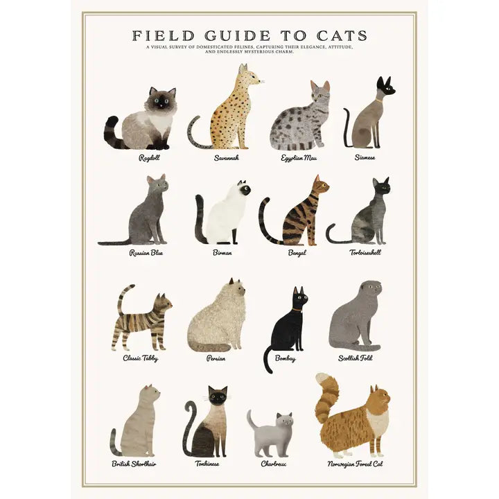 Vintage Posters Wrapping Paper - Cats