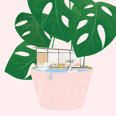 MODERN HOUSE PLANT