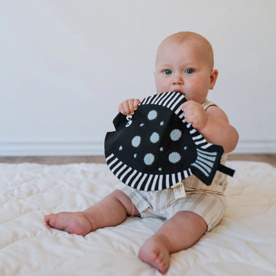 Fish Crinkle - Organic Fabric Baby Crinkle Paper Toy