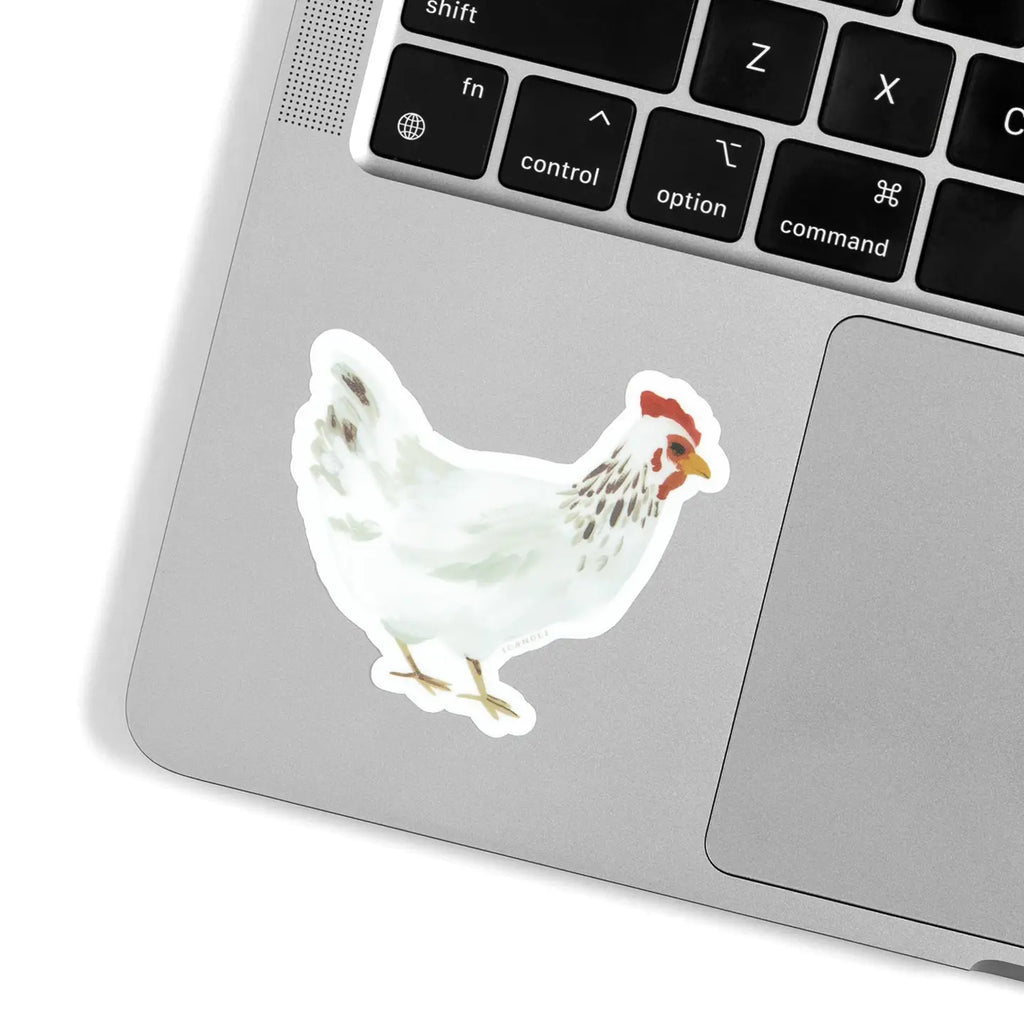 Delaware Chicken Decal Sticker