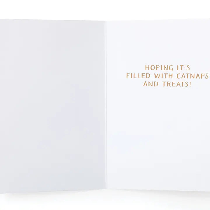 Happy Purrthday Cat Greeting Card