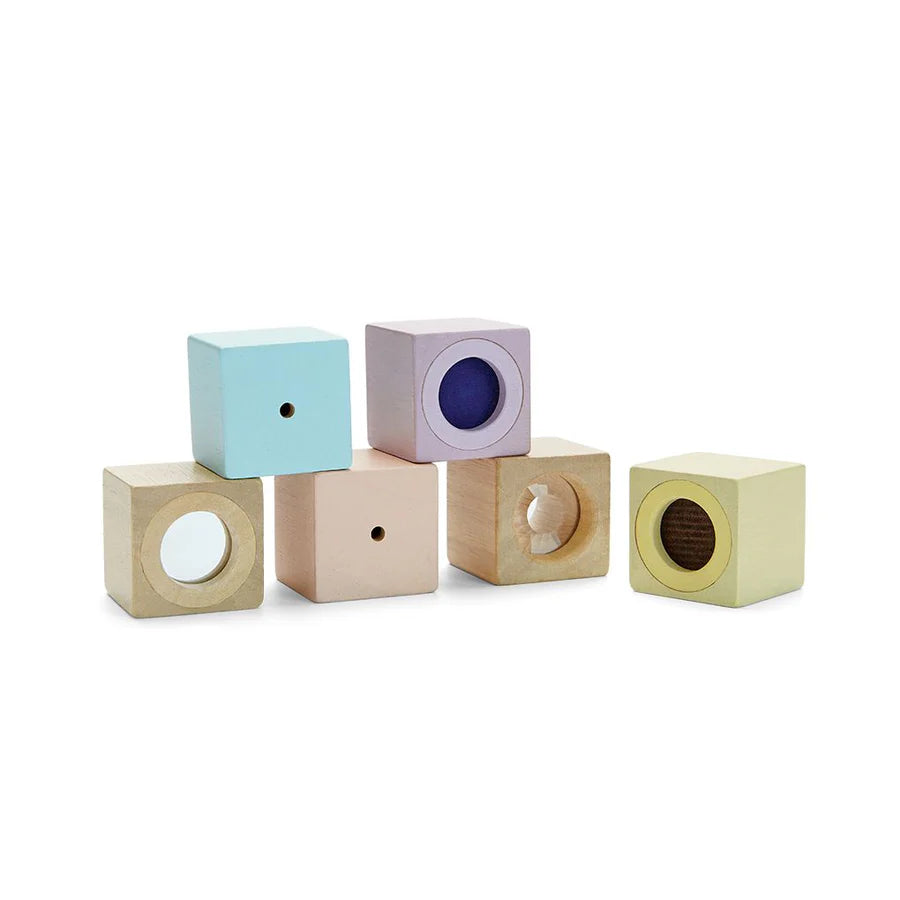 SENSORY BLOCKS