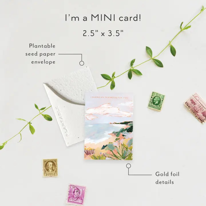 Plantable Card - Shore Am Thankful Sprout - Thank You Mini Greet 2.5 X 3.5