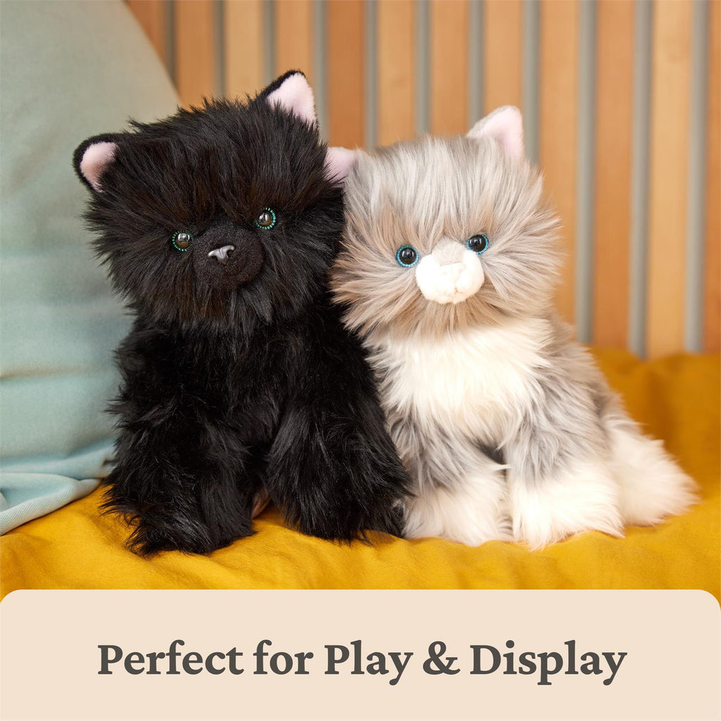 Camilla the Kitten