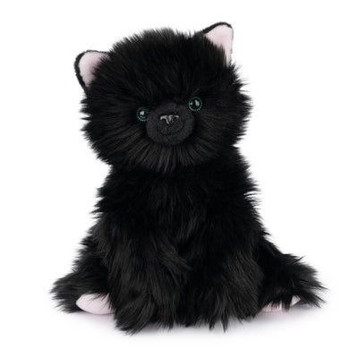 Xavier Kitten, 9
