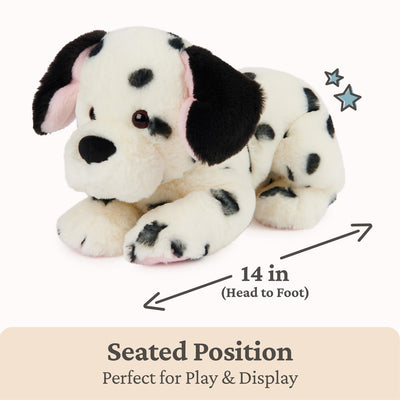 Checkers Dalmatian, 14
