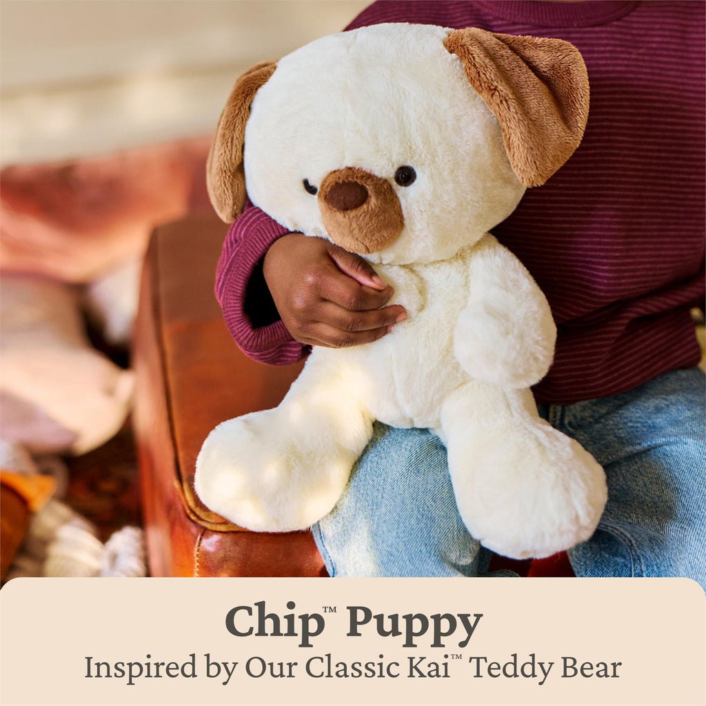 Kai and Friends Chip the Dog 10"