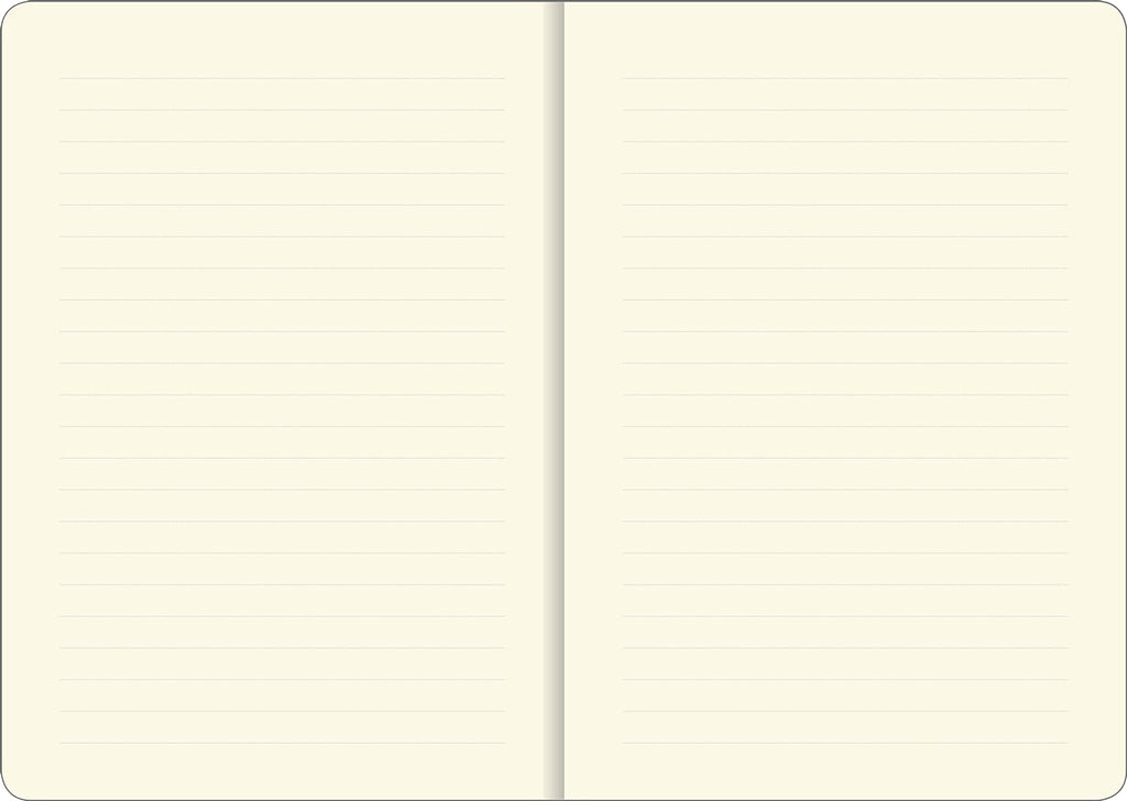HEDGEHOGS JOURNAL