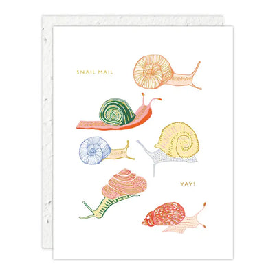 Plantable Card - Snails - Just To Say Hi Card