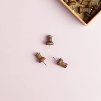 WALNUT PUSH PINS - SET OF 20