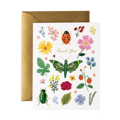 Boxed Set of Curio Thank You Cards