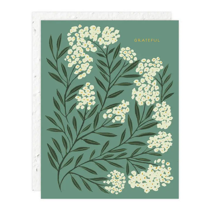 Plantable Card - Grateful - Thank You Card
