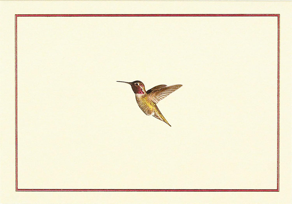 HUMMINGBIRD FLIGHT NOTE CARDS