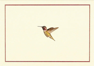 HUMMINGBIRD FLIGHT NOTE CARDS