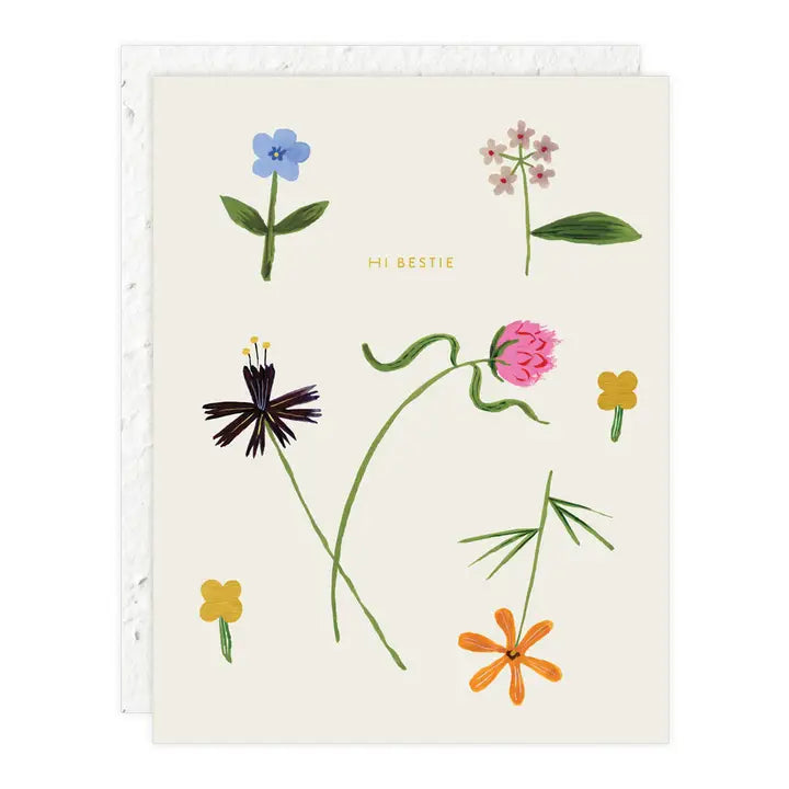 Plantable Card - Quirky Petals - Just To Say Hi Card