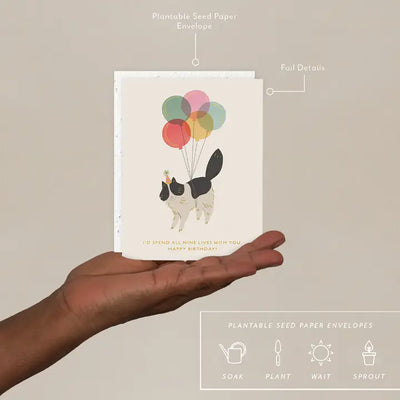 Plantable Card - Birthday Kitty - Birthday Card