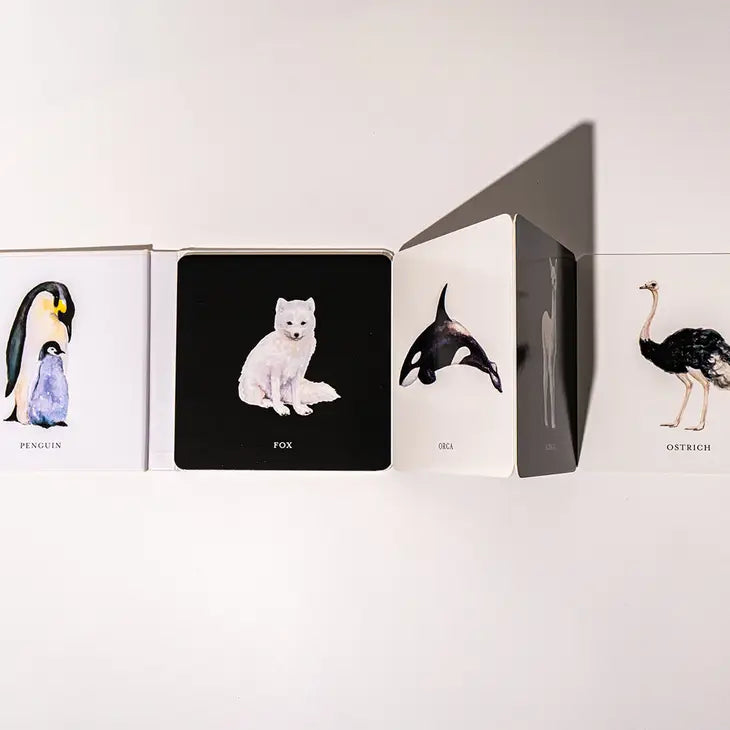 BLACK AND WHITE CONTRAST BOOK FOR BABY