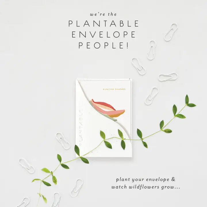 Plantable Card - Bananas Sprout - Thank You Mini Greeting Card (2.5" X 3.5")