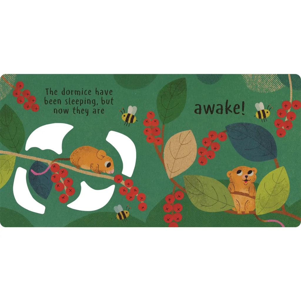 Little Nature:  Wake Up