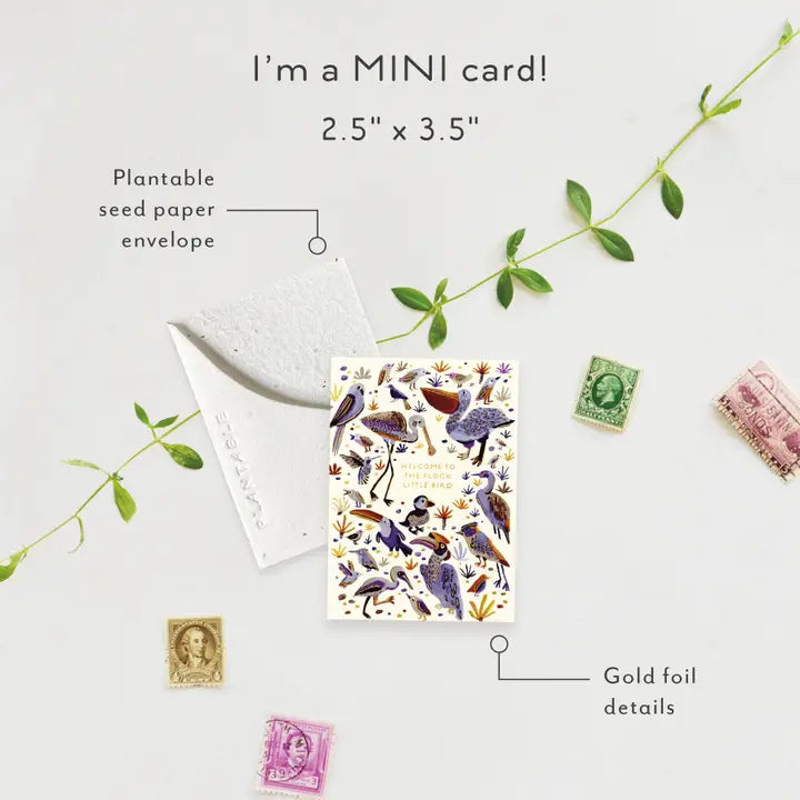 Plantable Card - Little Bird Sprout - Baby Mini Greeting Card (2.5" X 3.5")