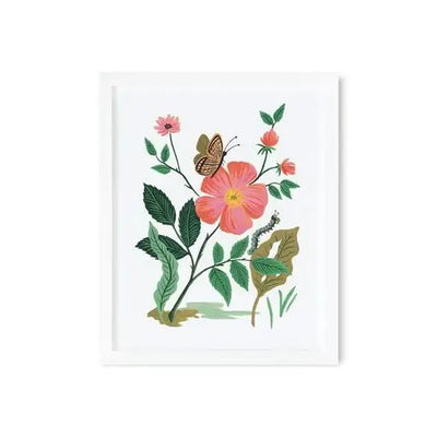 GARDEN ROSE PRINT - 16X20