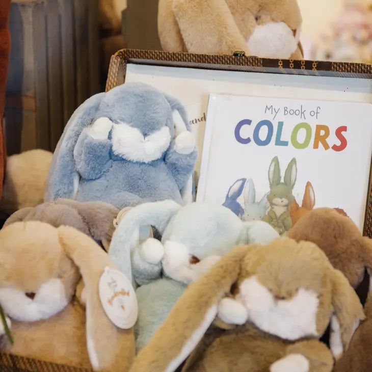 MY BOOK OF COLORS - BOARD BOOK