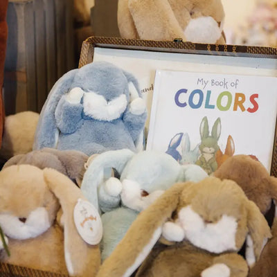 MY BOOK OF COLORS - BOARD BOOK