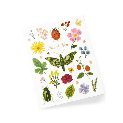 Boxed Set of Curio Thank You Cards