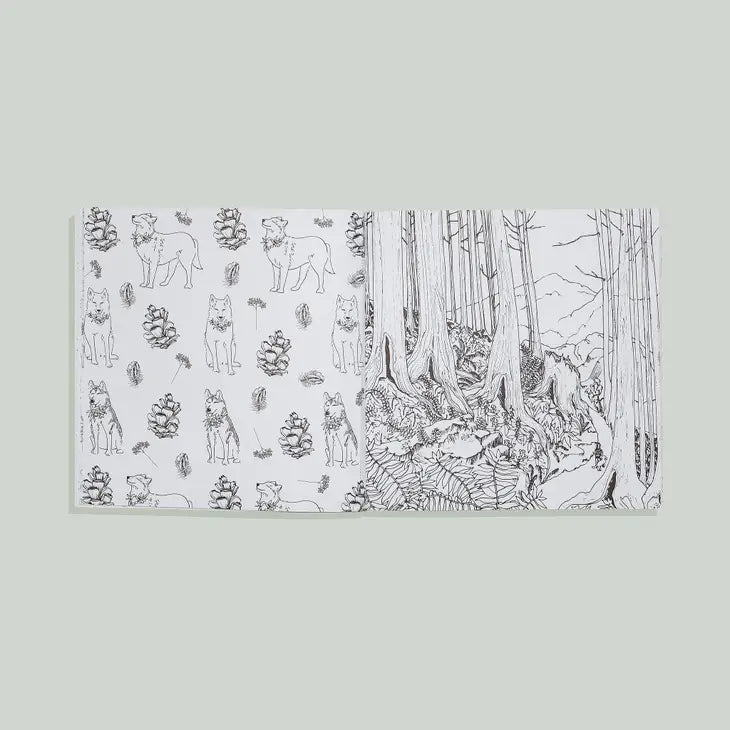 THE PLANT LADY: A FLORAL COLORING BOOK